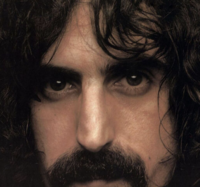 Black Zappa belt